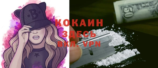 прущие грибы Медвежьегорск