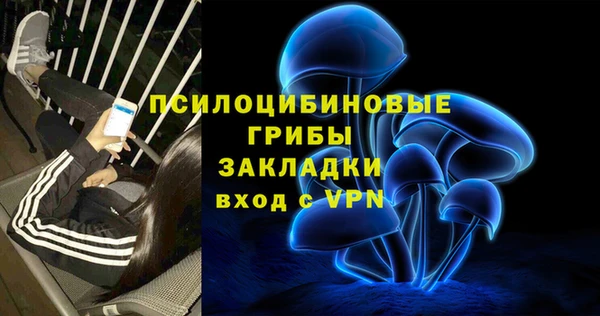 тгк Михайлов