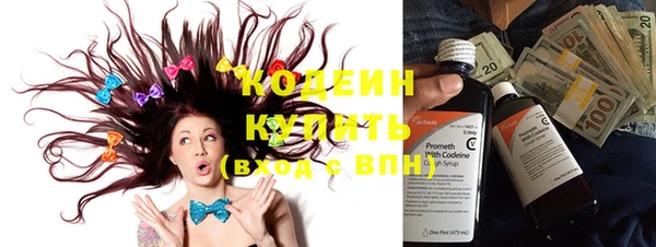 прущие грибы Медвежьегорск