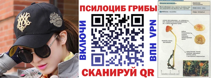 мориарти состав  Николаевск  Псилоцибиновые грибы Psilocybine cubensis  магазин продажи  