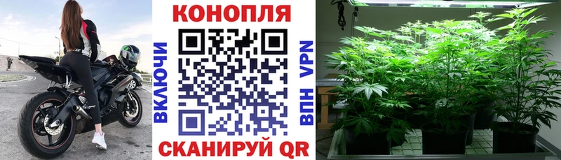 Бошки марихуана конопля Николаевск